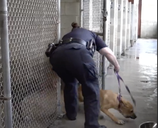 Author: 13wmaz.com
Published: 6:18 PM EDT August 14, 2025