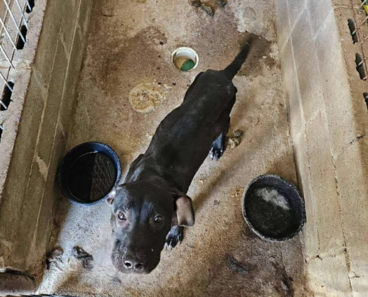 Screenshot 2025-08-19 at 5.04.13 PM