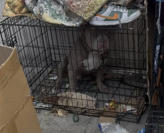 Screenshot 2025-08-19 at 6.30.26 PM