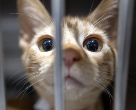 Screenshot 2025-08-19 at 6.35.05 PM