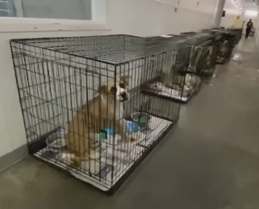 Screenshot 2025-08-19 at 6.40.42 PM