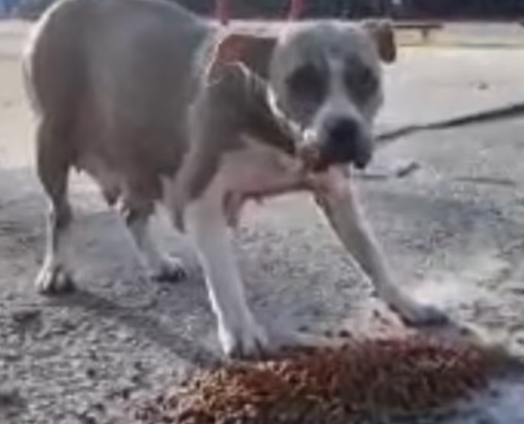 Screenshot 2025-08-20 at 2.36.48 PM