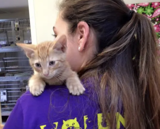 Screenshot 2025-08-20 at 2.37.04 PM