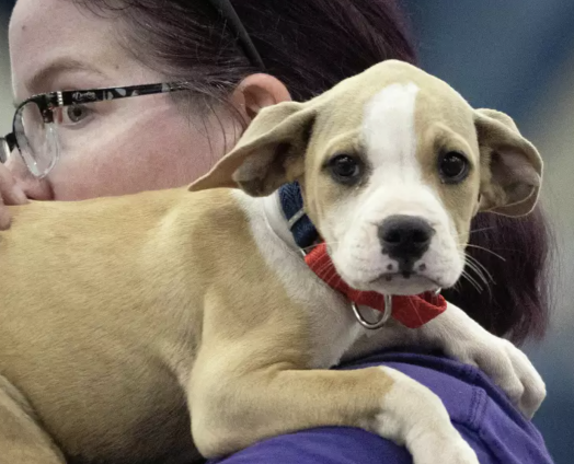 Screenshot 2025-08-20 at 2.37.28 PM