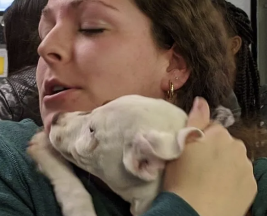 Screenshot 2025-08-20 at 4.08.12 PM